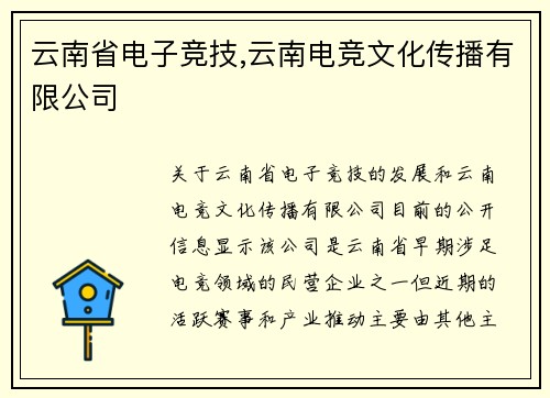 云南省电子竞技,云南电竞文化传播有限公司
